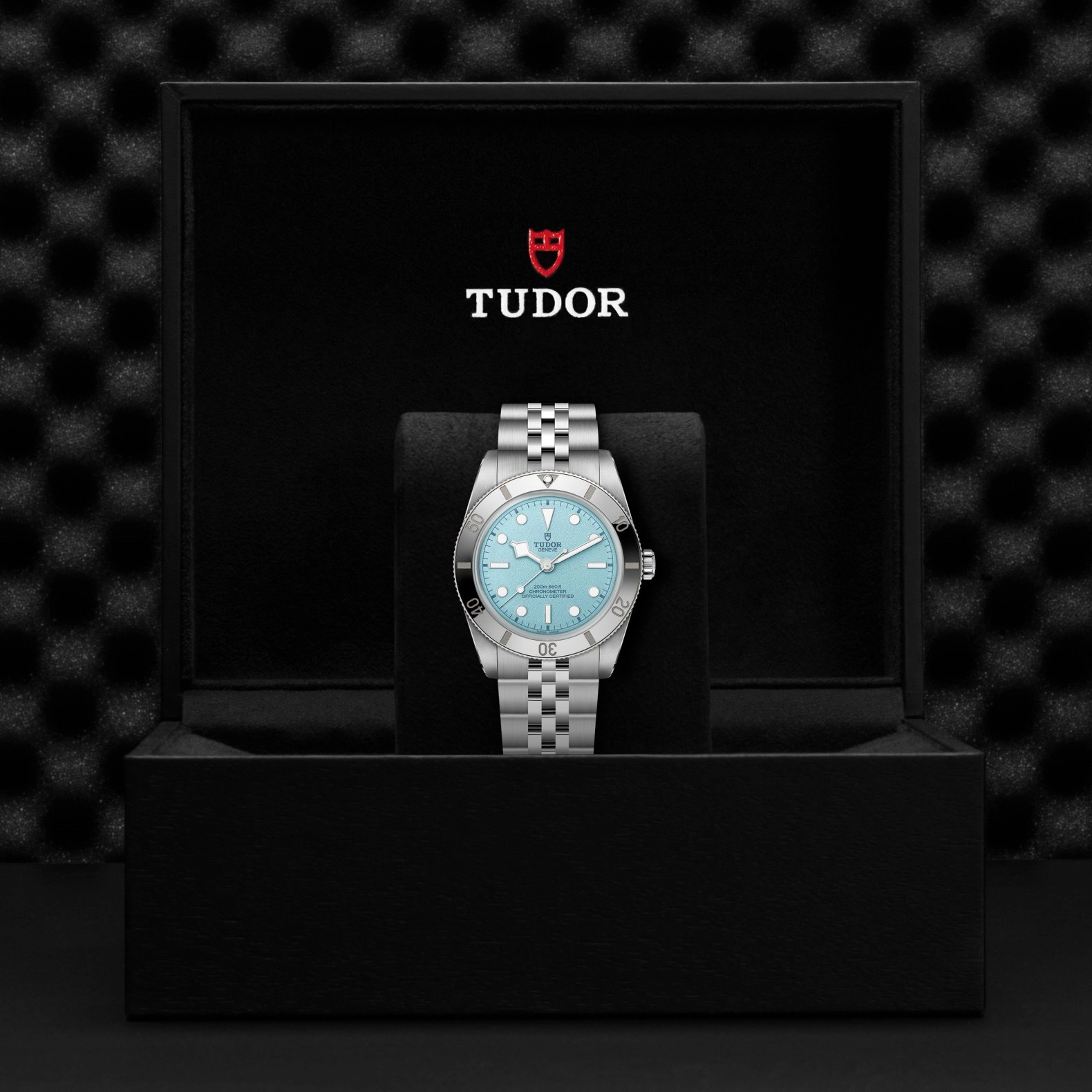 Tudor Black Bay 54 - Model No. M79000-0001