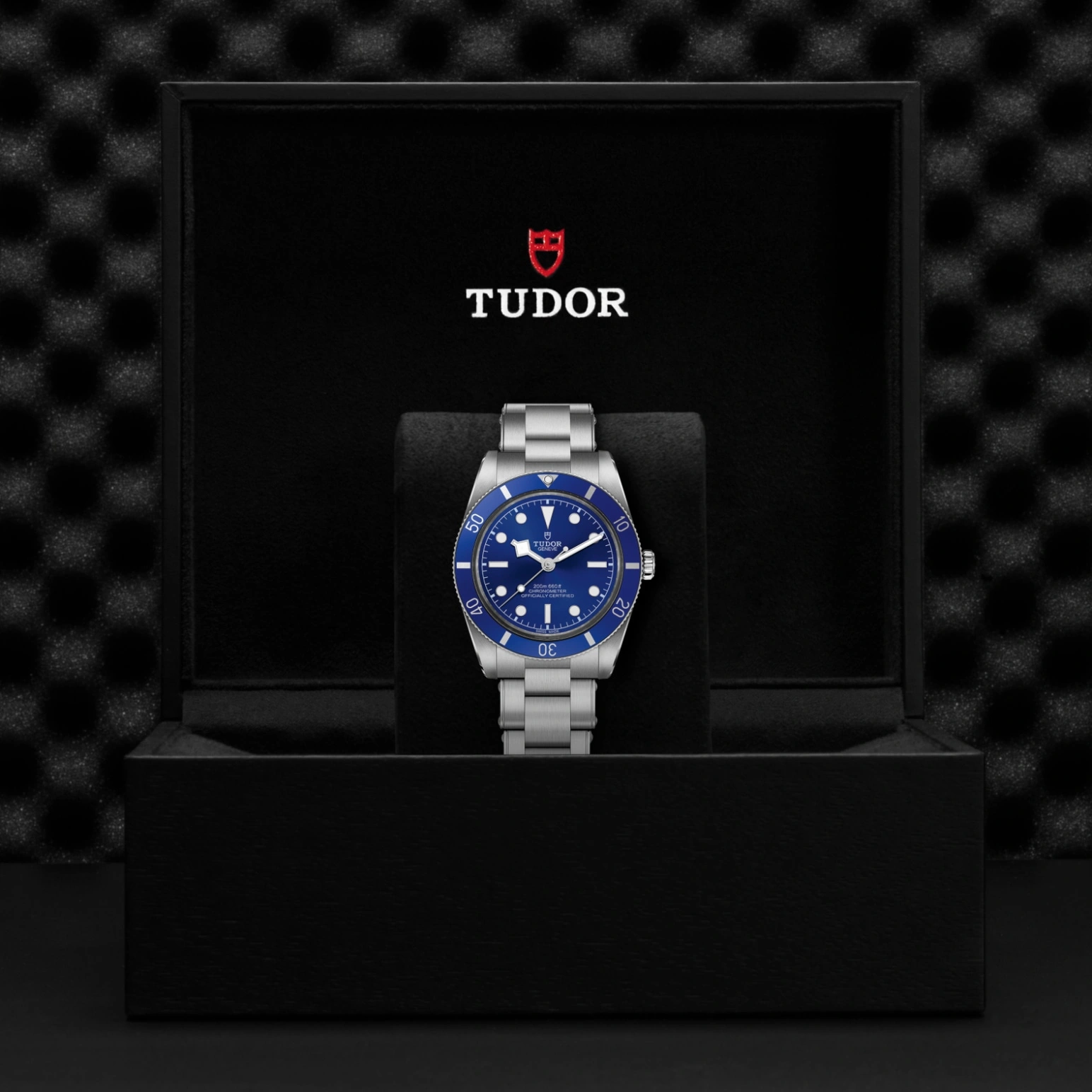 Tudor Black Bay 54 - Model No. M79000B-0001