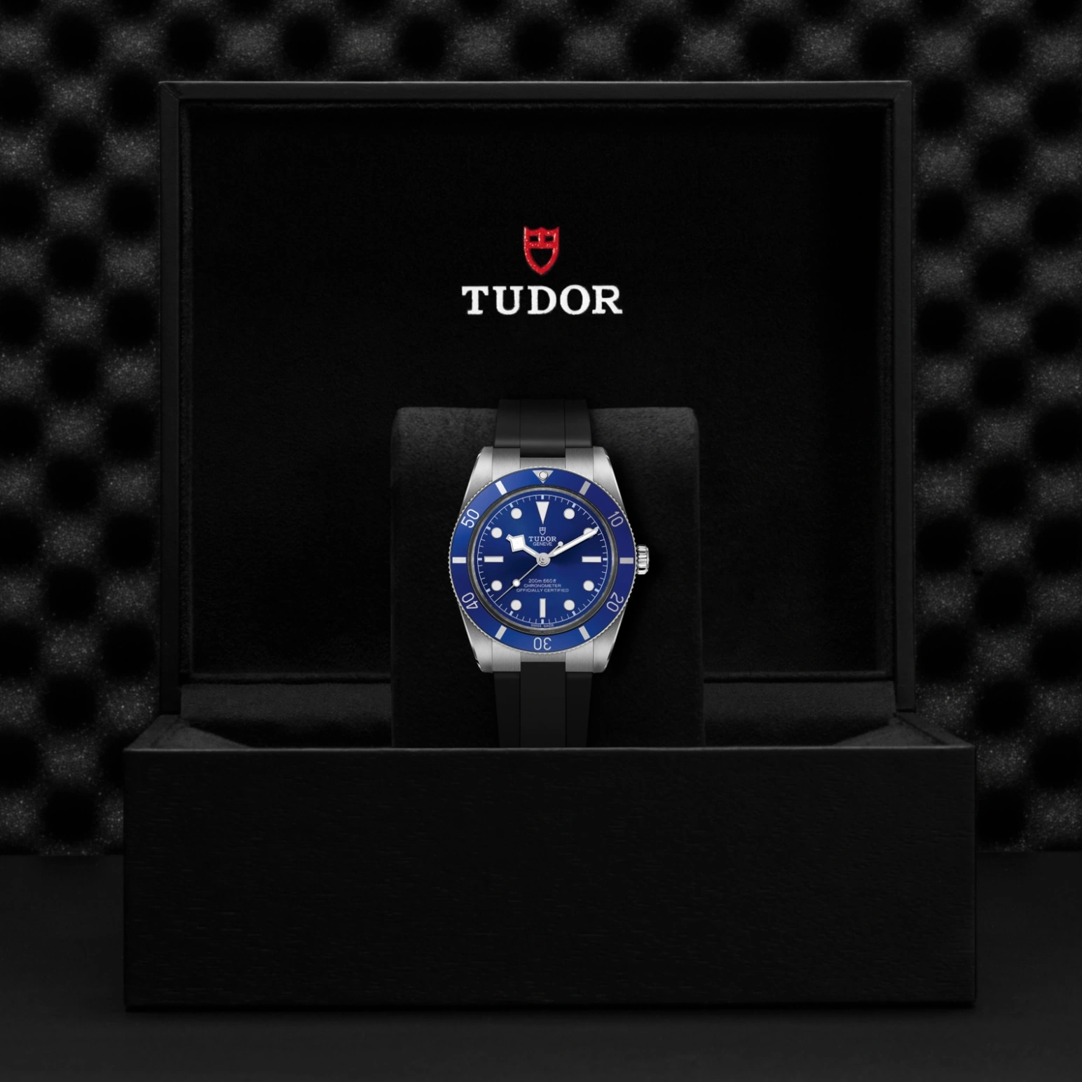 Tudor Black Bay 54 - Model No. M79000B-0002