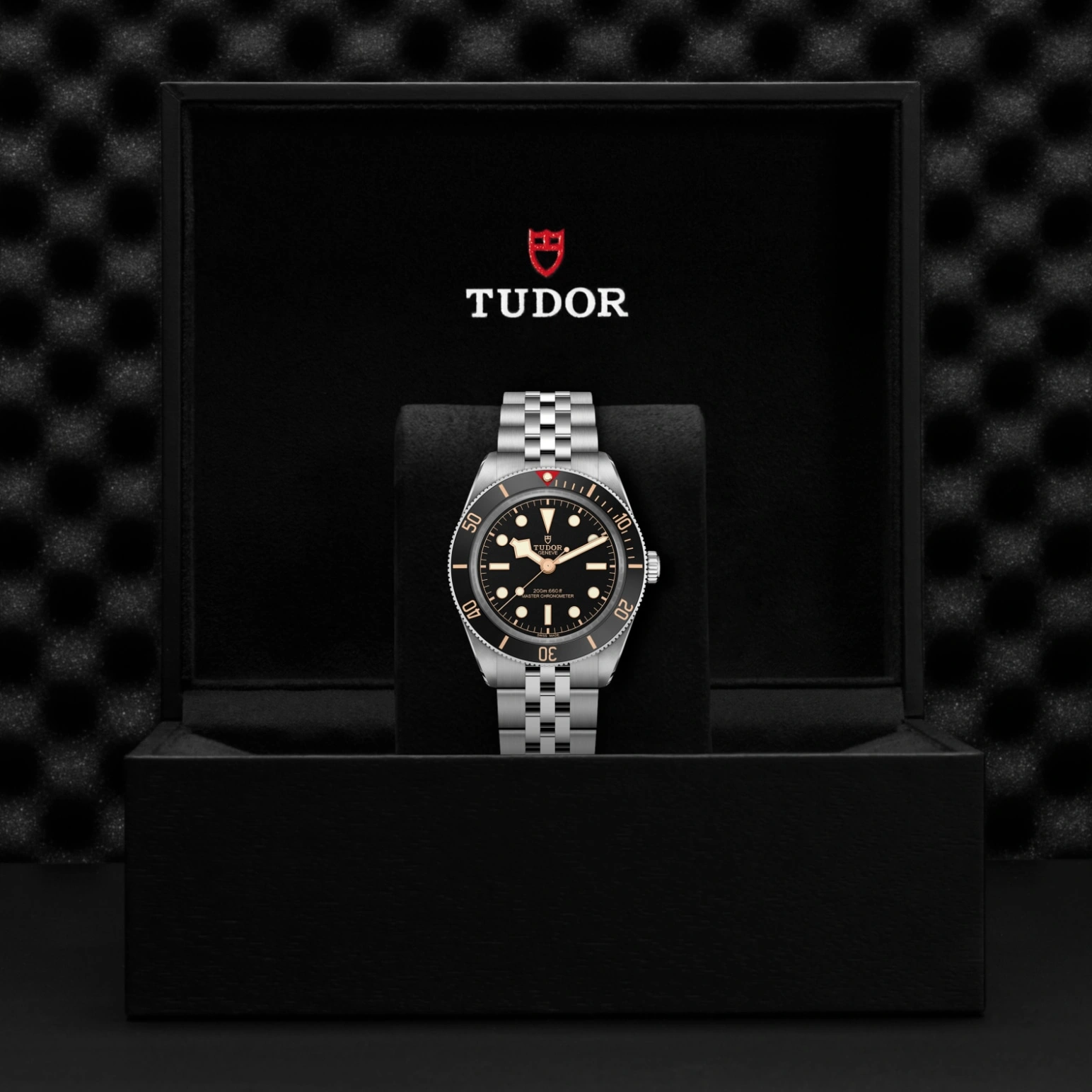 Tudor Black Bay 58 - Model No. M7939A1A0NU-0001