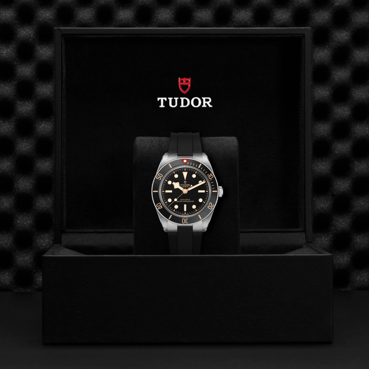 Tudor Black Bay 58 - Model No. M7939A1A0NU-0003