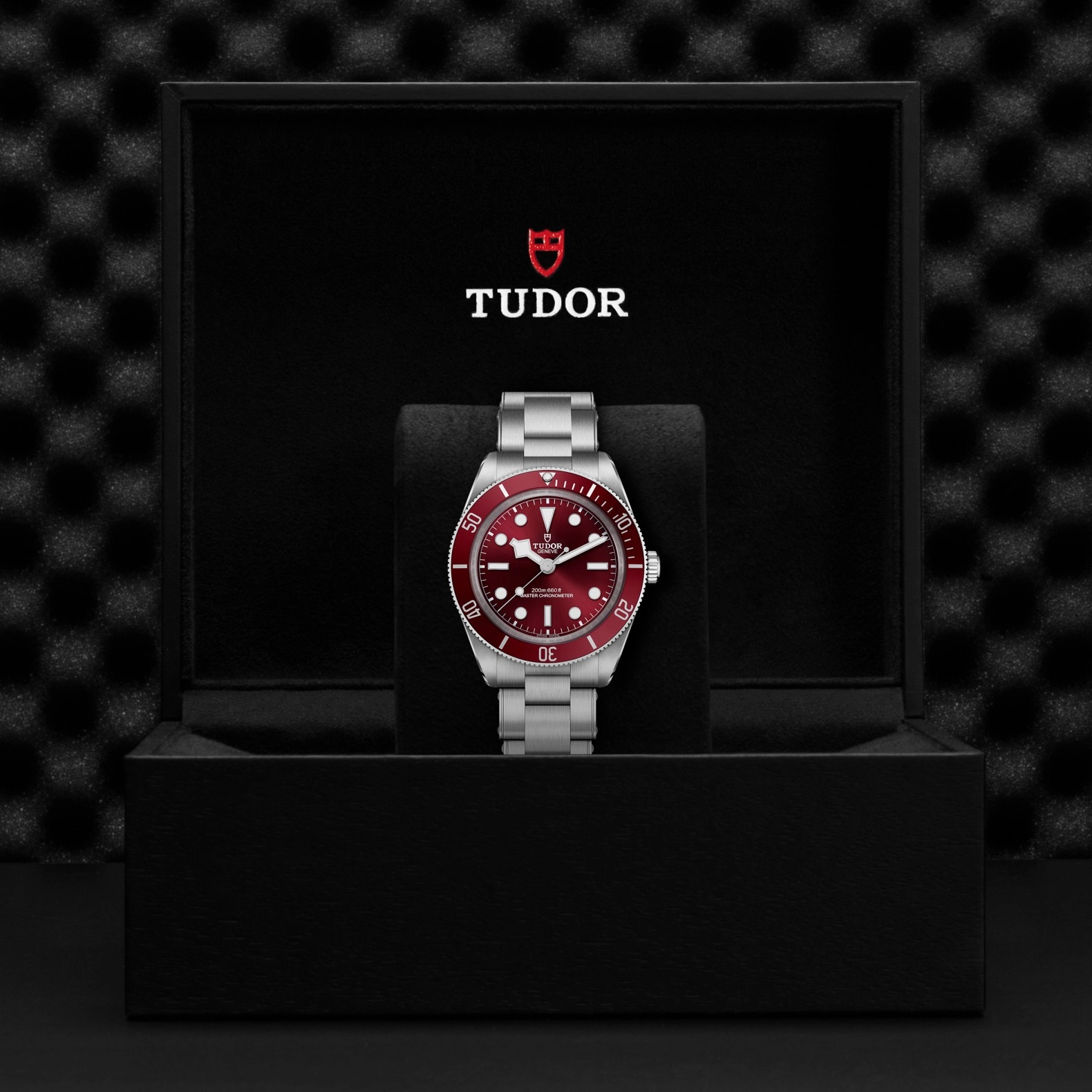 Tudor Black Bay 58 - Model No. M7939A1A0RU-0002