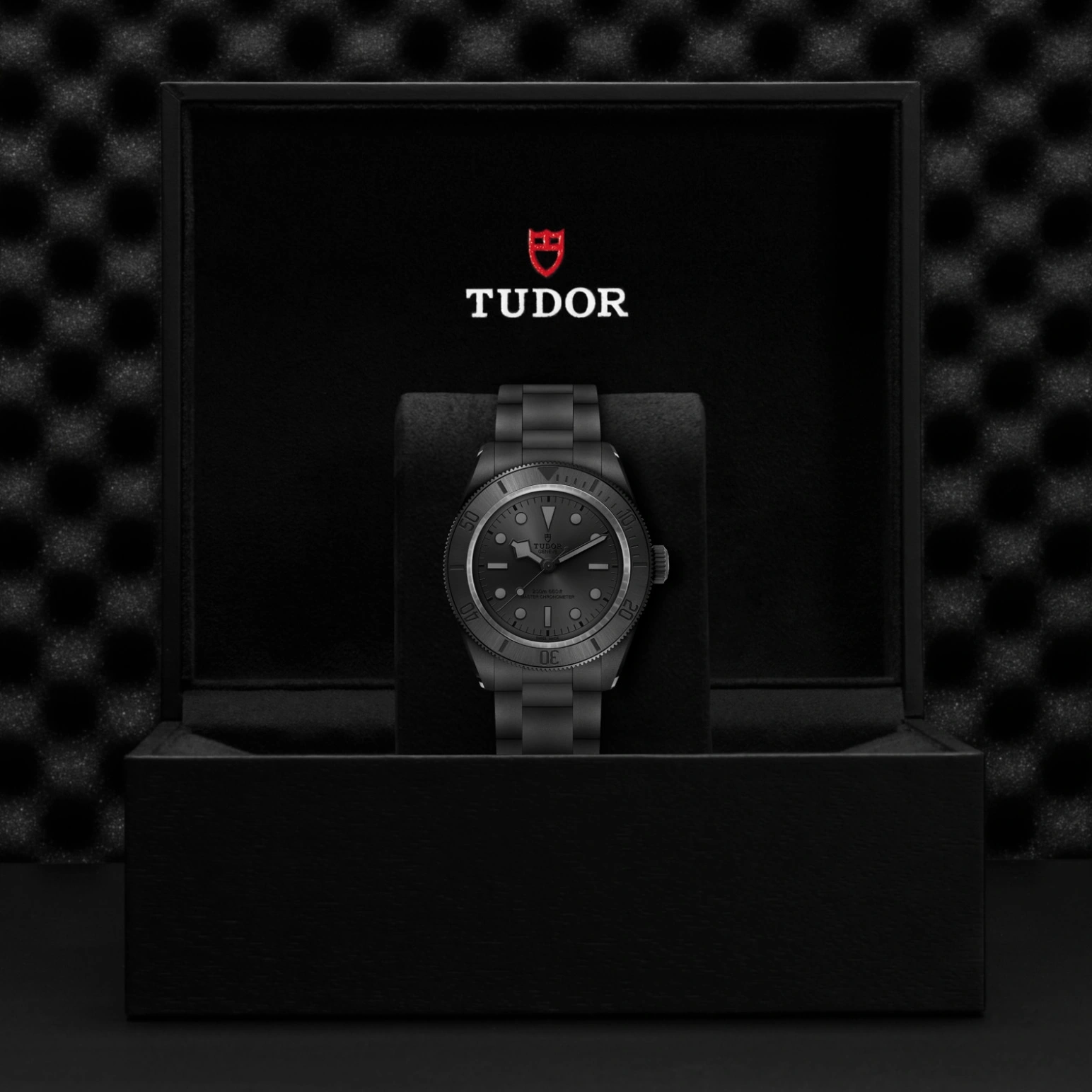 Tudor Black Bay Ceramic - Model No. M7941A1ACNU-0001